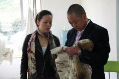怎样避免羊毛织物的起球？
