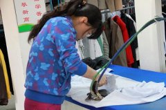 手工洗涤的相关内容