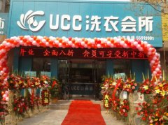UCC国际洗衣赚钱吗？